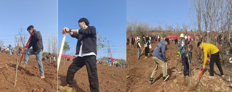 1678173677169346.png 555.png