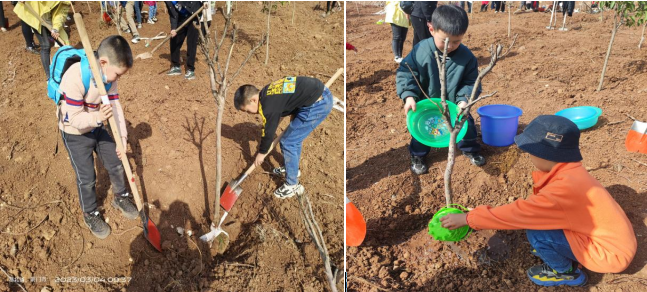 1678173700185653.png 666.png